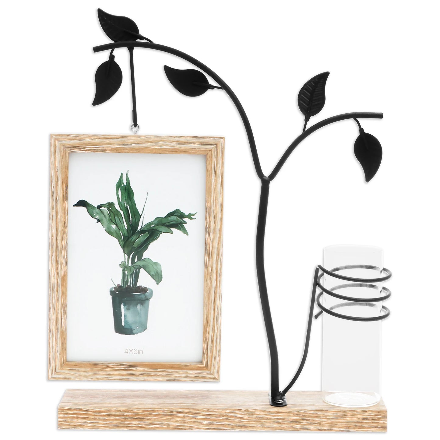 4x6 Picture Frame with Stand and Glass Vase for Flowers Plants Double Sided 4x6 Photo Frame