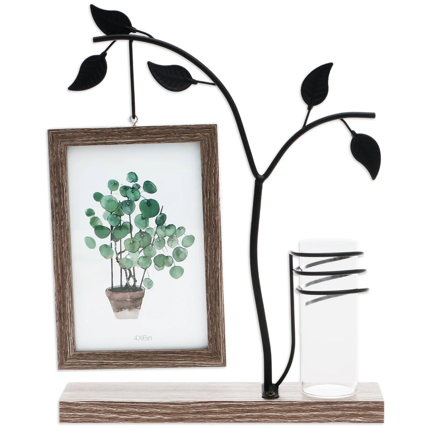 4x6 Picture Frame with Stand and Glass Vase for Flowers Plants Double Sided 4x6 Photo Frame